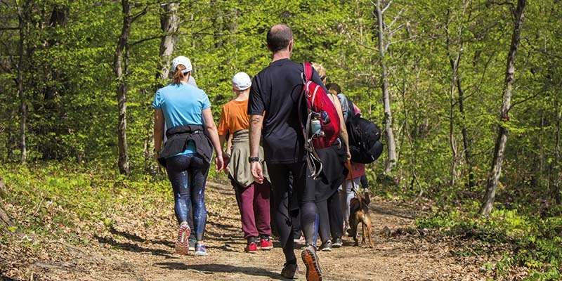 Weston Walking Group