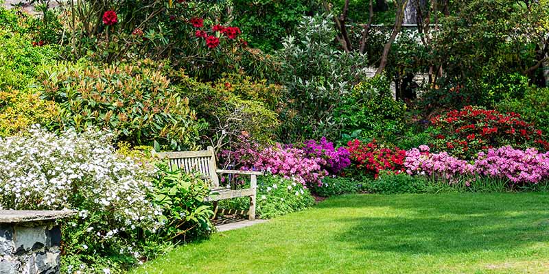 Portishead in Bloom Open Gardens