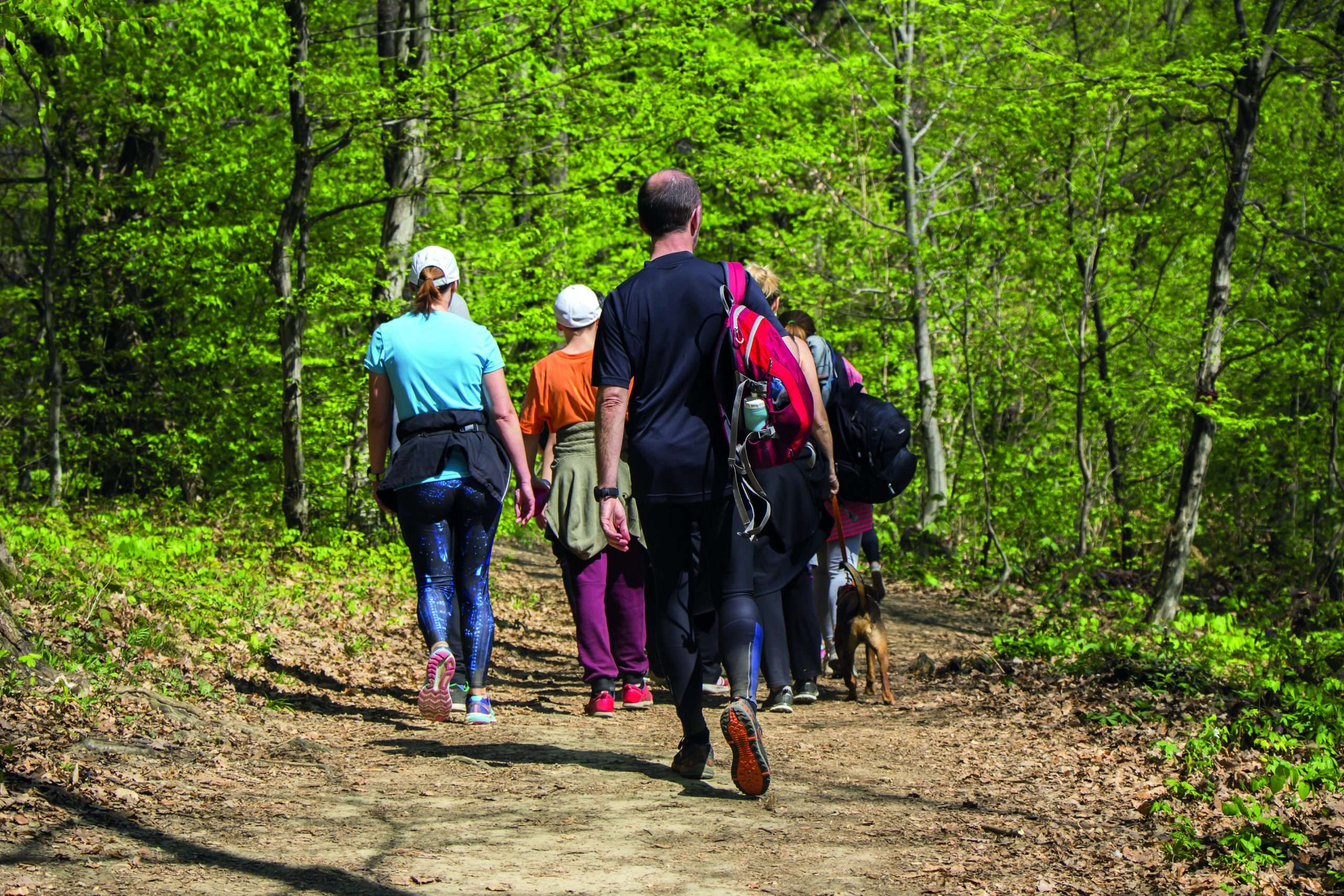 West Mendip Walkers November Walk Programme