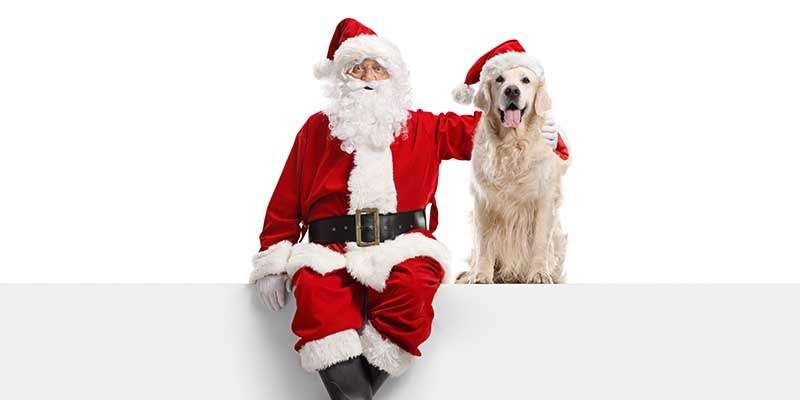 Santa Paws Is Coming to Town! 