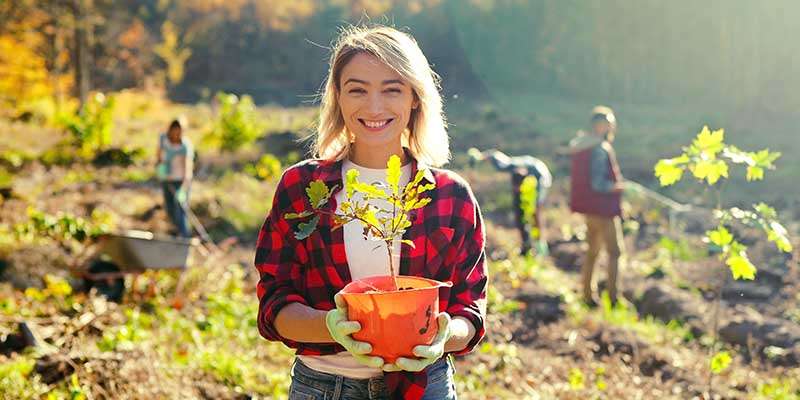 Land based events and volunteering in Glastonbury