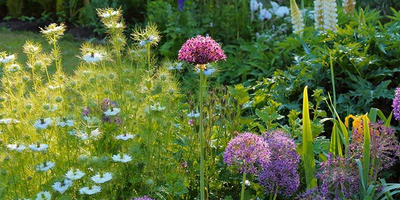 The Gardens of Great Dixter