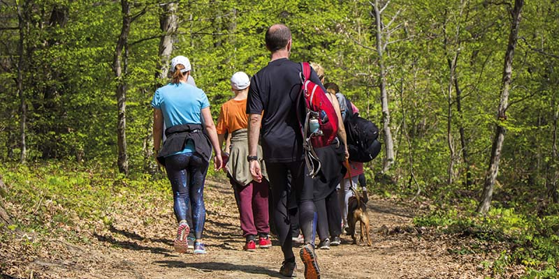 Clevedon free and friendly Health Walk!