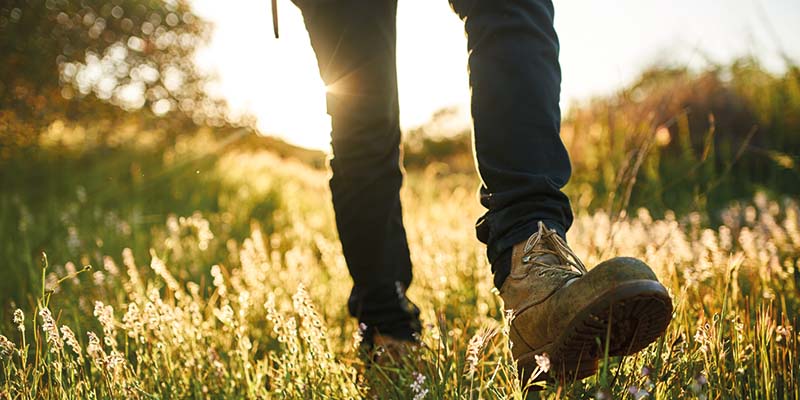 Join Weston Walking Group for local North Somerset Walks