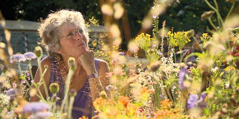 Henton Garden Club Late Summer Colour